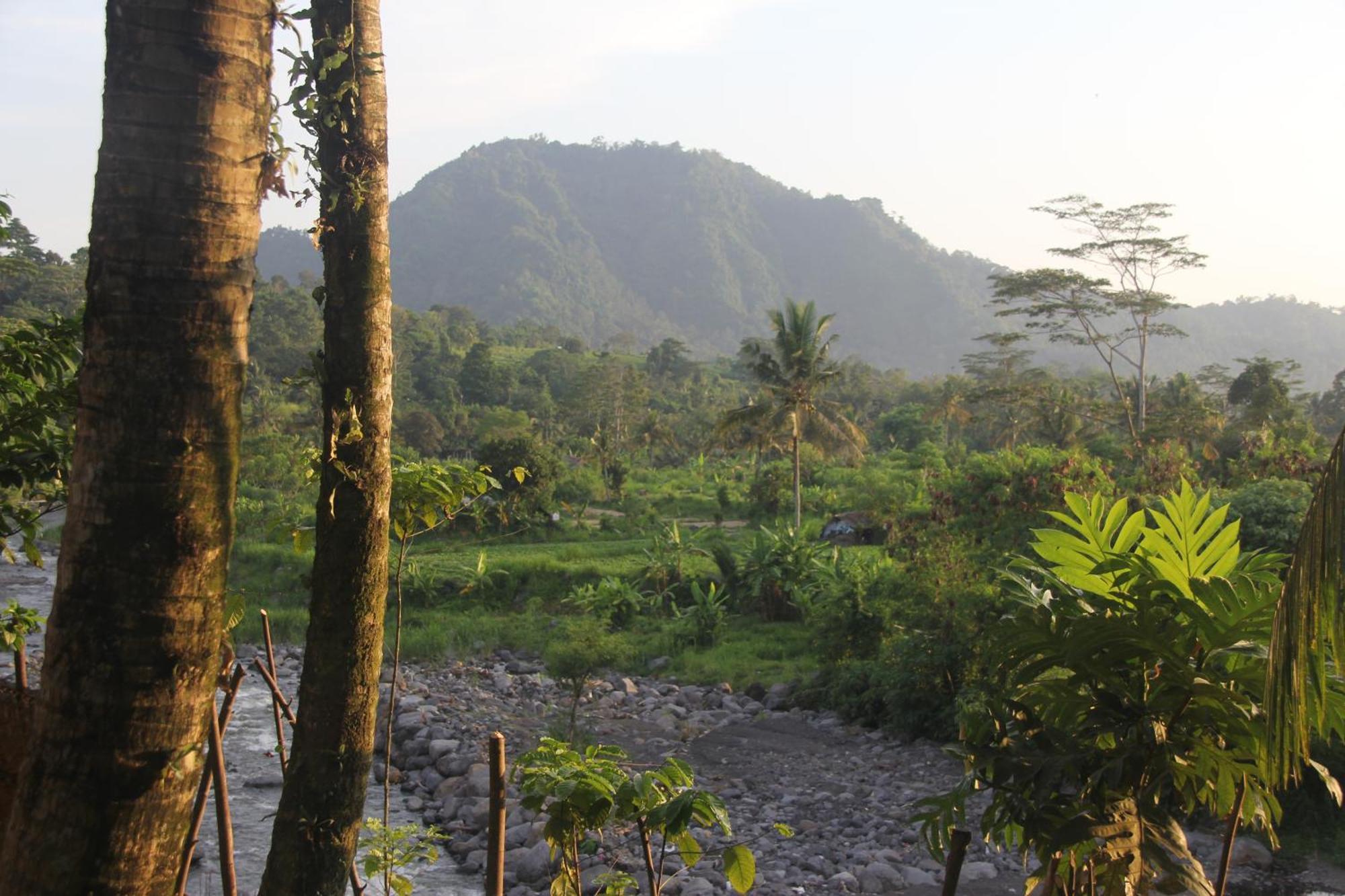 Anandinii River Lodge By Agata Sidemen  Esterno foto